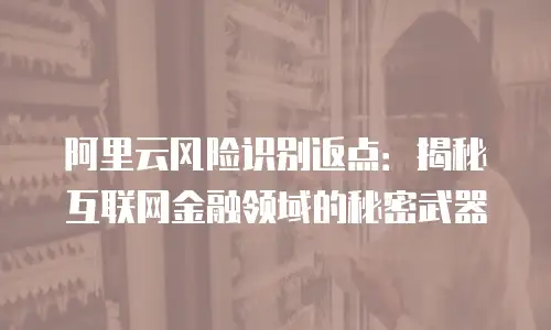阿里云风险识别返点：揭秘互联网金融领域的秘密武器