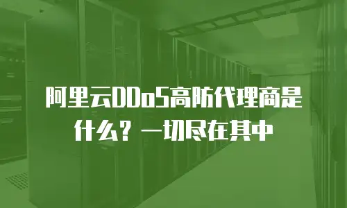 阿里云DDoS高防代理商是什么？一切尽在其中