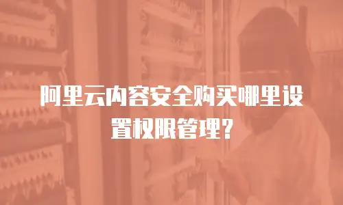 阿里云内容安全购买哪里设置权限管理？