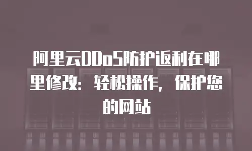 阿里云DDoS防护返利在哪里修改：轻松操作，保护您的网站