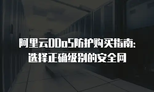 阿里云DDoS防护购买指南：选择正确级别的安全网