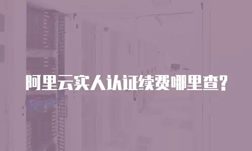 阿里云实人认证续费哪里查?