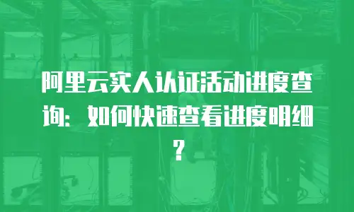 阿里云实人认证活动进度查询：如何快速查看进度明细？