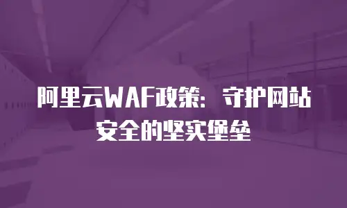阿里云WAF政策：守护网站安全的坚实堡垒