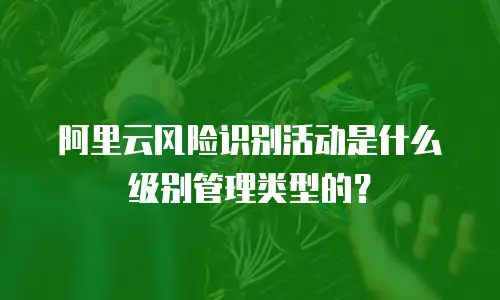阿里云风险识别活动是什么级别管理类型的？