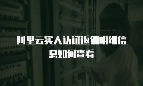 阿里云实人认证返佣明细信息如何查看