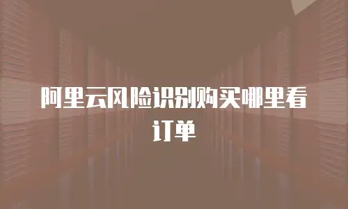 阿里云风险识别购买哪里看订单