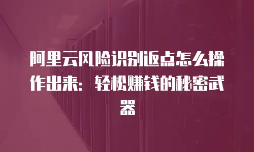 阿里云风险识别返点怎么操作出来：轻松赚钱的秘密武器