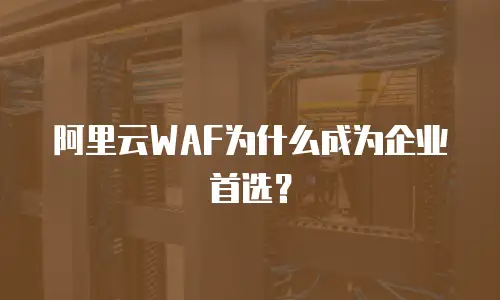 阿里云WAF为什么成为企业首选？