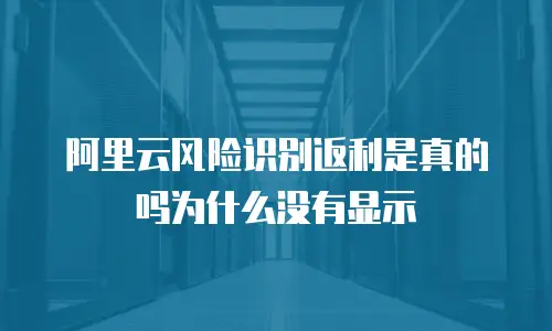 阿里云风险识别返利是真的吗为什么没有显示