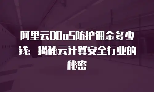 阿里云DDoS防护佣金多少钱：揭秘云计算安全行业的秘密