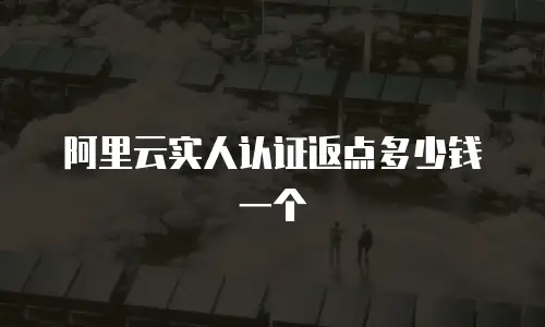 阿里云实人认证返点多少钱一个