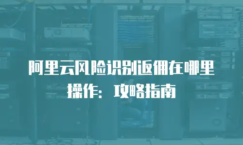 阿里云风险识别返佣在哪里操作：攻略指南