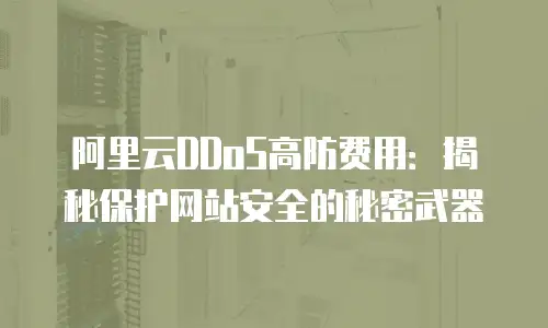 阿里云DDoS高防费用：揭秘保护网站安全的秘密武器