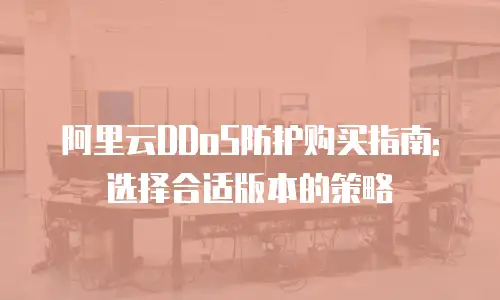 阿里云DDoS防护购买指南: 选择合适版本的策略