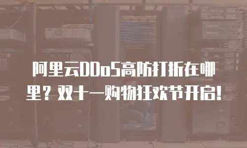 阿里云DDoS高防打折在哪里？双十一购物狂欢节开启！