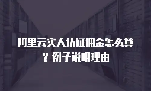 阿里云实人认证佣金怎么算？例子说明理由