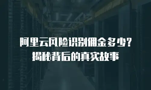 阿里云风险识别佣金多少？揭秘背后的真实故事
