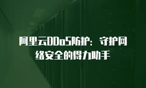 阿里云DDoS防护：守护网络安全的得力助手