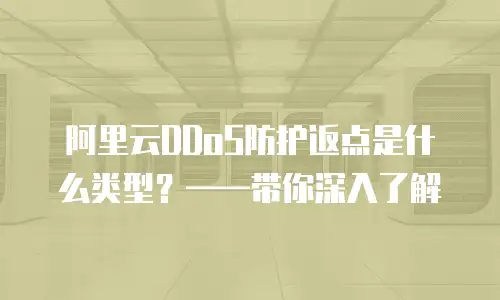 阿里云DDoS防护返点是什么类型？——带你深入了解