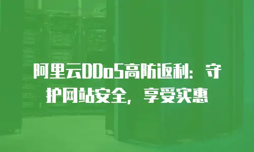 阿里云DDoS高防返利：守护网站安全，享受实惠