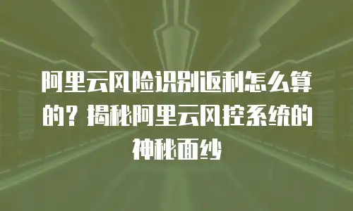 阿里云风险识别返利怎么算的？揭秘阿里云风控系统的神秘面纱