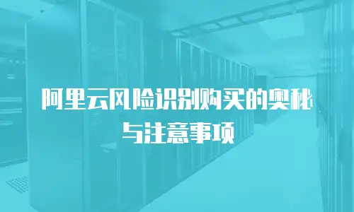 阿里云风险识别购买的奥秘与注意事项