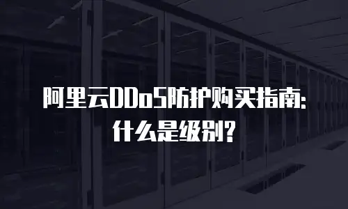 阿里云DDoS防护购买指南: 什么是级别?