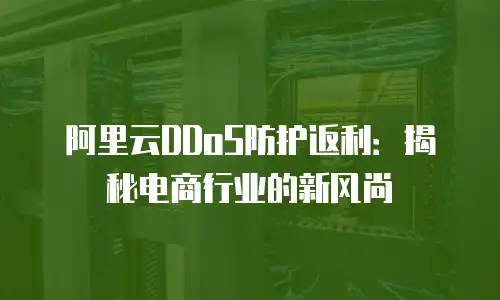 阿里云DDoS防护返利：揭秘电商行业的新风尚