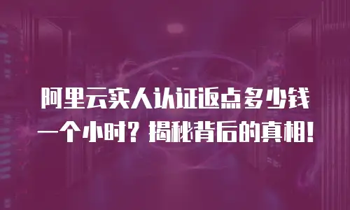 阿里云实人认证返点多少钱一个小时？揭秘背后的真相！