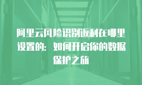 阿里云风险识别返利在哪里设置的：如何开启你的数据保护之旅