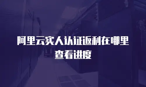 阿里云实人认证返利在哪里查看进度