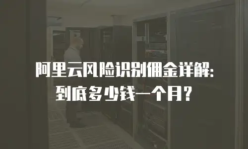 阿里云风险识别佣金详解：到底多少钱一个月？