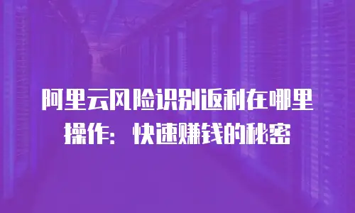 阿里云风险识别返利在哪里操作：快速赚钱的秘密