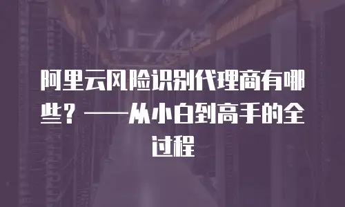 阿里云风险识别代理商有哪些？——从小白到高手的全过程