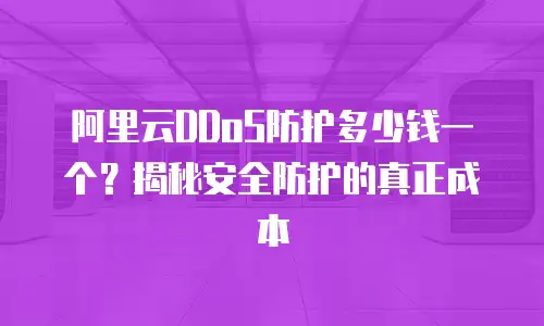 阿里云DDoS防护多少钱一个？揭秘安全防护的真正成本