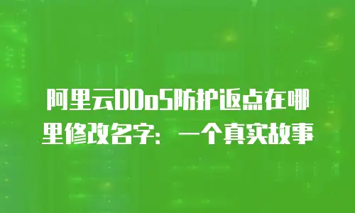 阿里云DDoS防护返点在哪里修改名字：一个真实故事