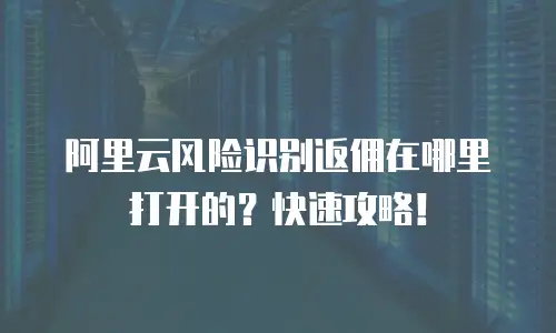 阿里云风险识别返佣在哪里打开的？快速攻略！