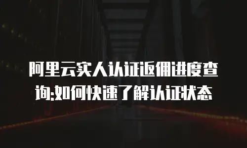 阿里云实人认证返佣进度查询:如何快速了解认证状态