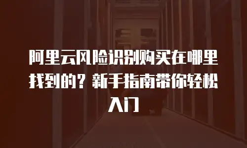 阿里云风险识别购买在哪里找到的？新手指南带你轻松入门