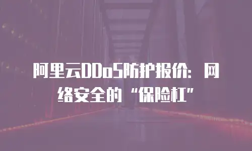 阿里云DDoS防护报价：网络安全的“保险杠”