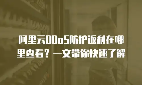 阿里云DDoS防护返利在哪里查看？一文带你快速了解