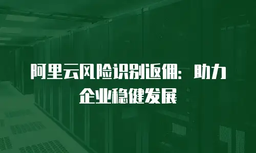 阿里云风险识别返佣：助力企业稳健发展
