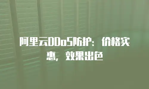 阿里云DDoS防护：价格实惠，效果出色