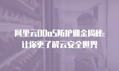 阿里云DDoS防护佣金揭秘：让你更了解云安全世界