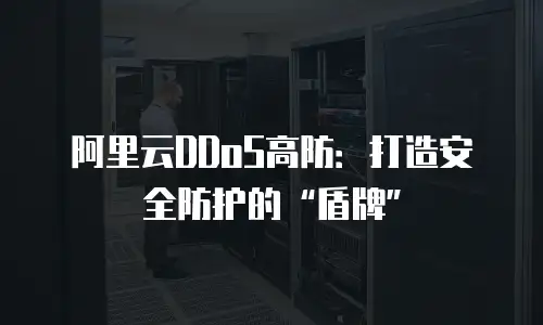 阿里云DDoS高防：打造安全防护的“盾牌”
