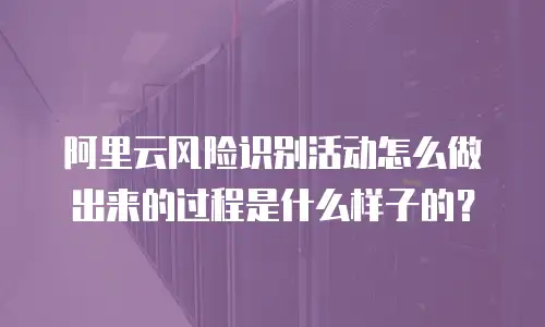 阿里云风险识别活动怎么做出来的过程是什么样子的？