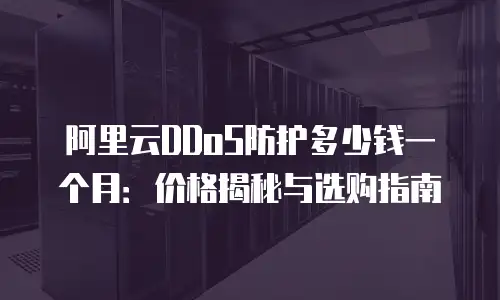 阿里云DDoS防护多少钱一个月：价格揭秘与选购指南
