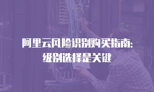 阿里云风险识别购买指南：级别选择是关键