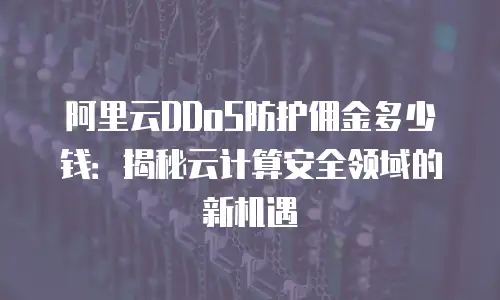 阿里云DDoS防护佣金多少钱：揭秘云计算安全领域的新机遇